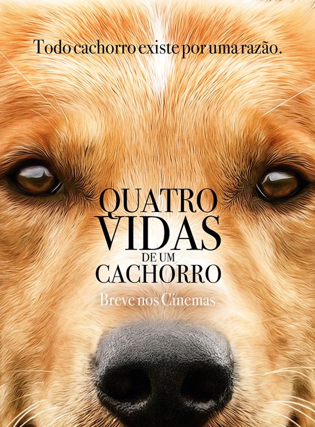 Quatro Vidas de um Cachorro